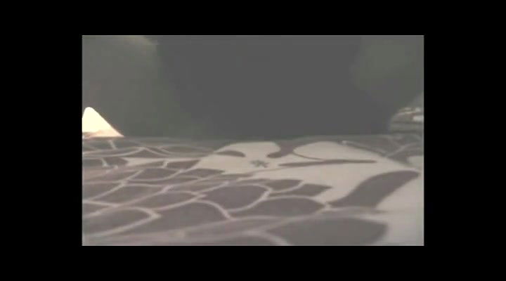 Global prostitute Uncensored video collection – 423