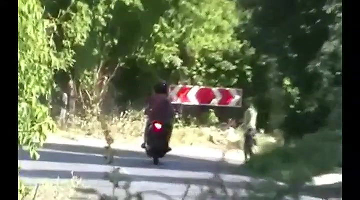 Global prostitute Uncensored video collection – 382