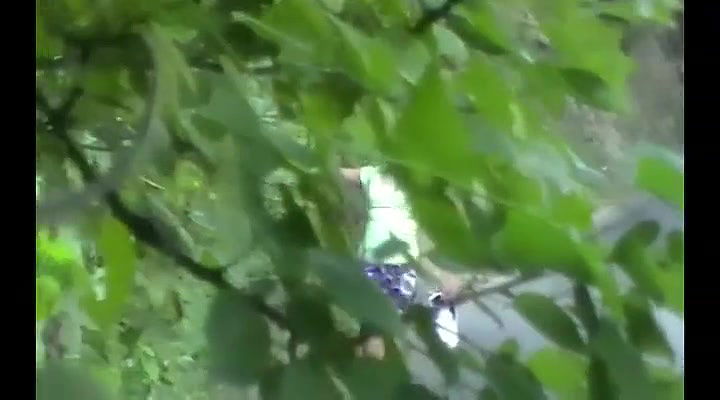 Global prostitute Uncensored video collection – 382