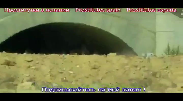 Global prostitute Uncensored video collection – 381