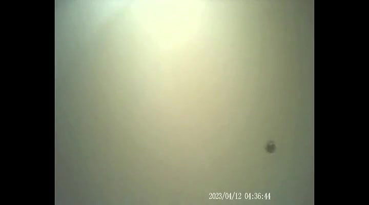 Global prostitute Uncensored video collection – 336