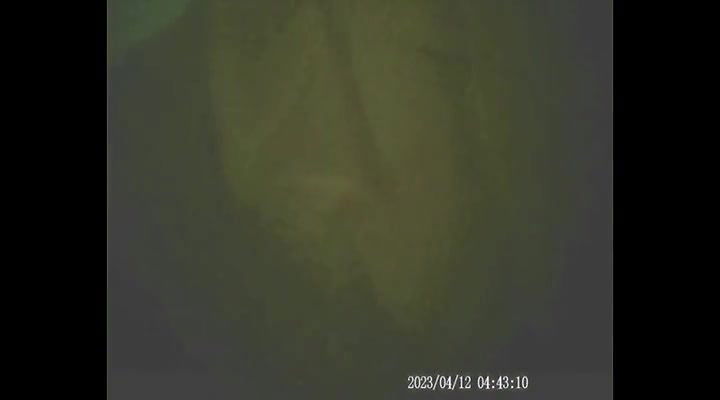 Global prostitute Uncensored video collection – 336