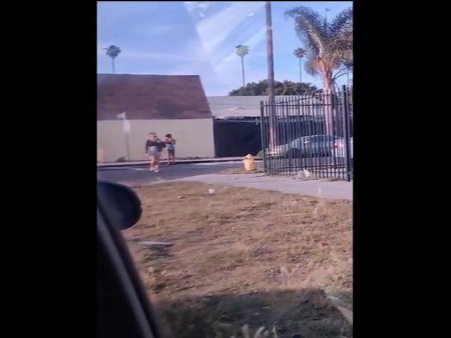 Global prostitute Uncensored video collection – 331