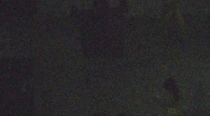 Global prostitute Uncensored video collection – 321