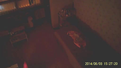 Global prostitute Uncensored video collection – 256