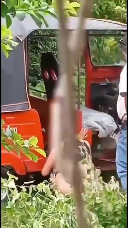 Global prostitute Uncensored video collection – 158