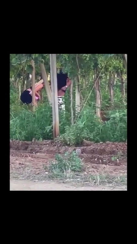 Global prostitute Uncensored video collection – 113