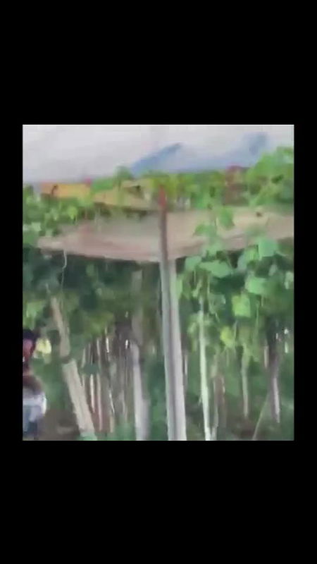 Global prostitute Uncensored video collection – 113