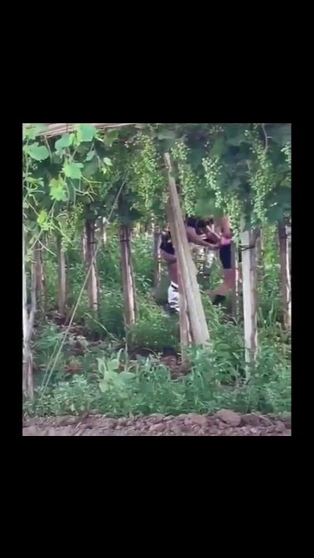 Global prostitute Uncensored video collection – 113