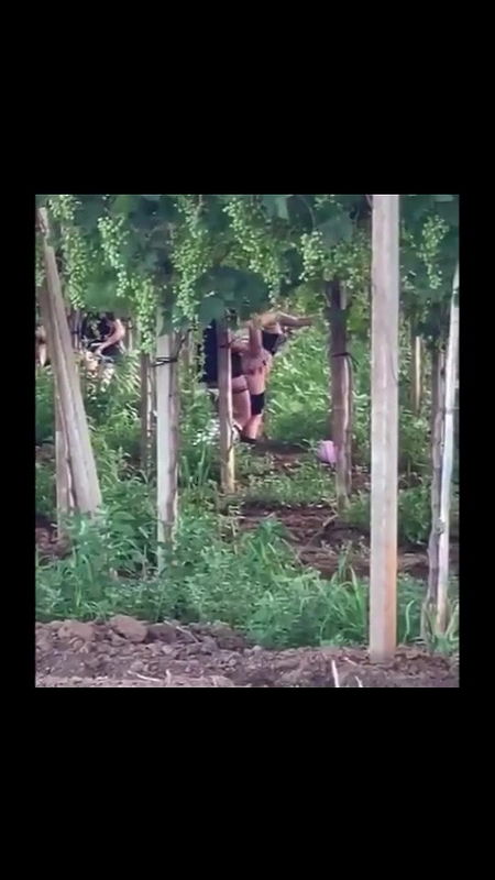 Global prostitute Uncensored video collection – 113