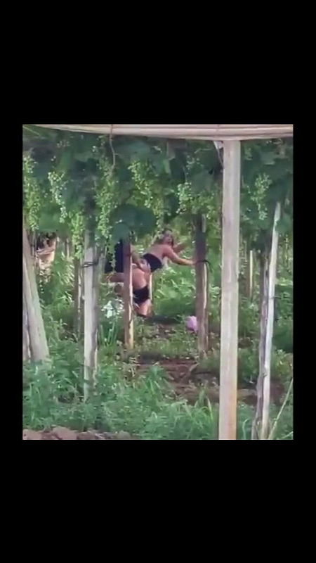 Global prostitute Uncensored video collection – 113