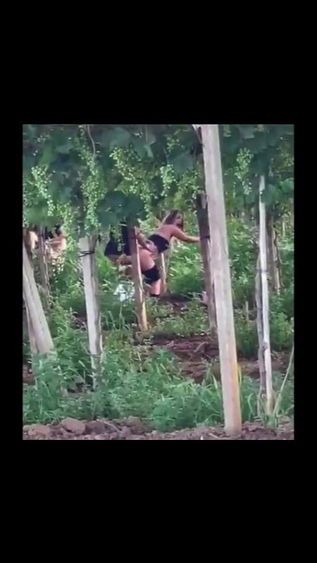 Global prostitute Uncensored video collection – 113