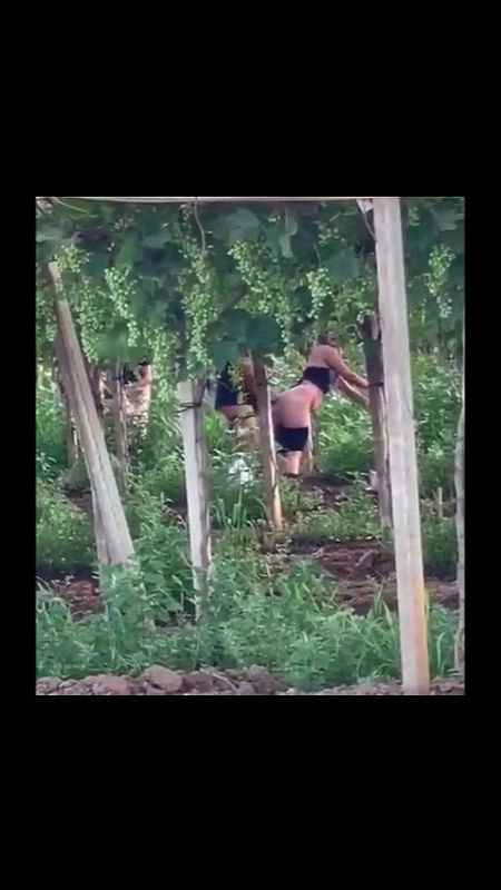 Global prostitute Uncensored video collection – 113