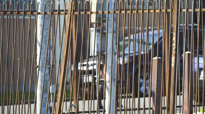 Global prostitute Uncensored video collection – 111