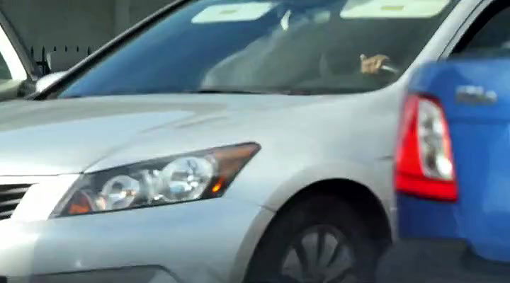 Global prostitute Uncensored video collection – 99