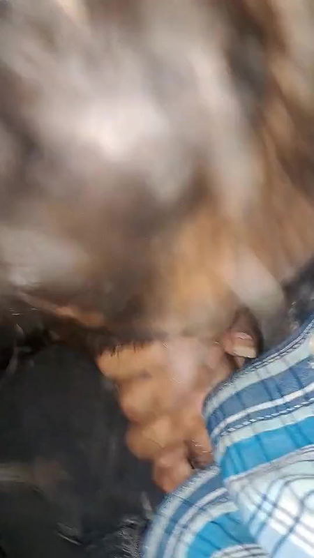 Global prostitute Uncensored video collection – 85