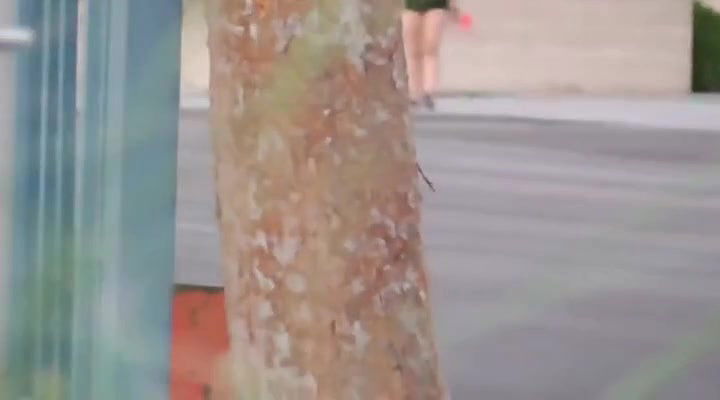 Global prostitute Uncensored video collection – 81