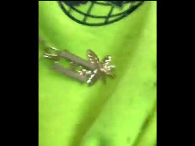 Global prostitute Uncensored video collection – 473