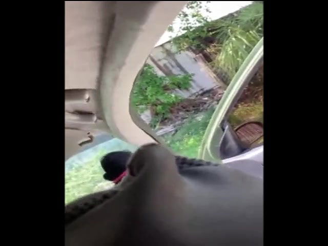 Global prostitute Uncensored video collection – 473