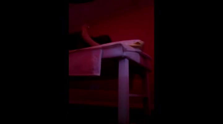 Global prostitute Uncensored video collection – 451