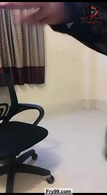 BENGALI GIRL TRIYA 121 – XC