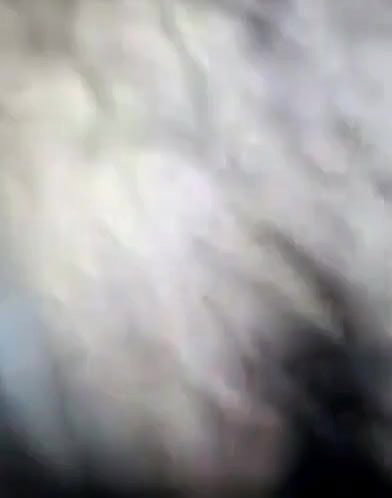 Bengali GF Fucking