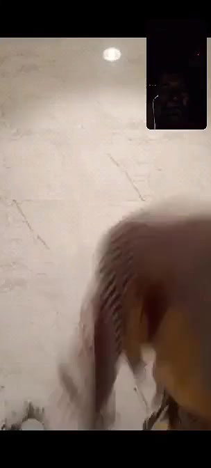 Hijabi Desi Girl Showing
