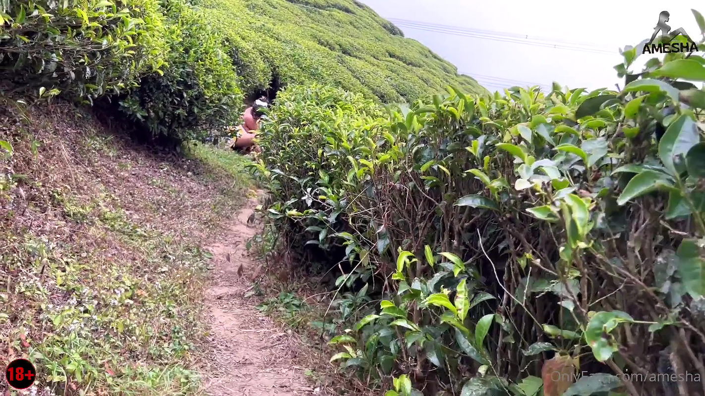 Onlyfan star Amesha video collection -20