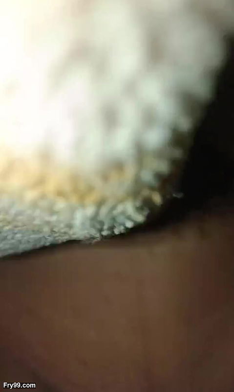 Desi bhabi ritu ki chudai