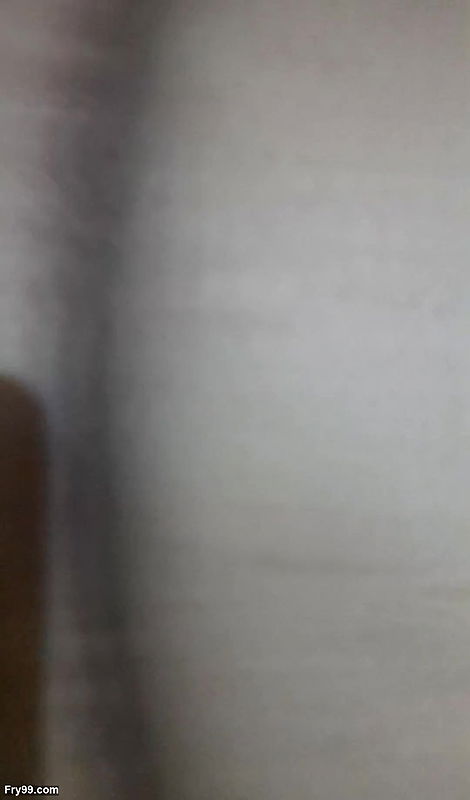 Bengali desi husband and wife in romantic fucking mood