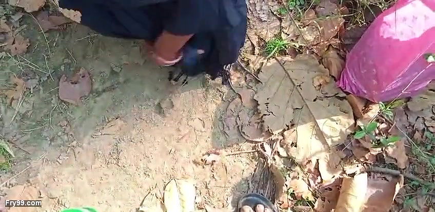 indian desi bhabhi sexy video