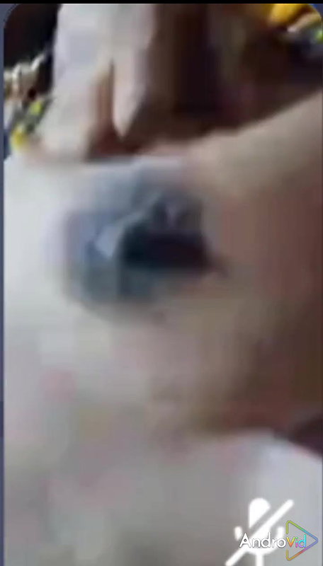 New chamet video collection 2242025-869