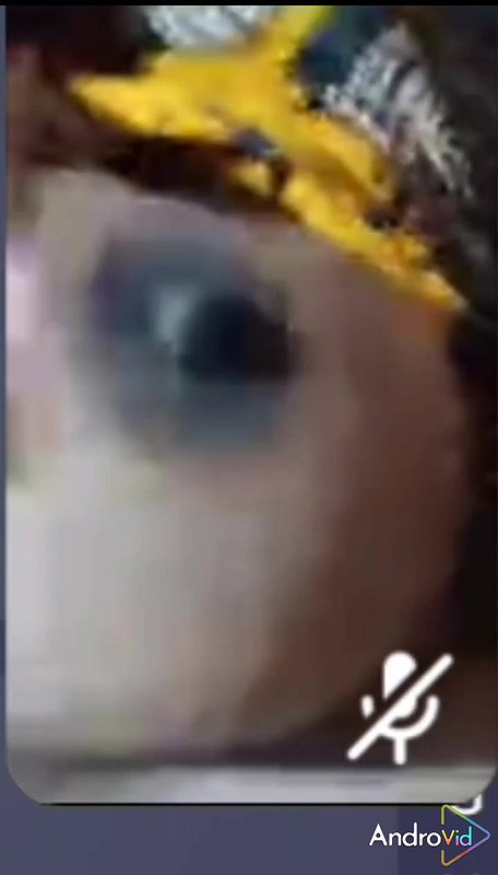 New chamet video collection 2242025-869