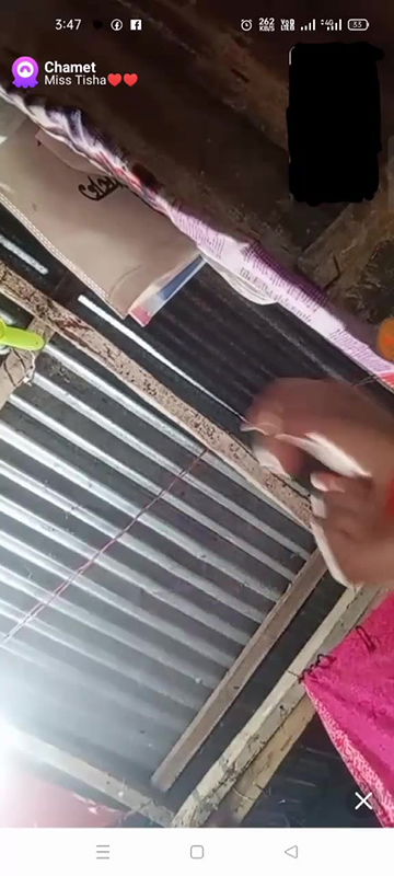 New chamet video collection 2342025-677