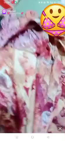 New chamet video collection 2342025-672