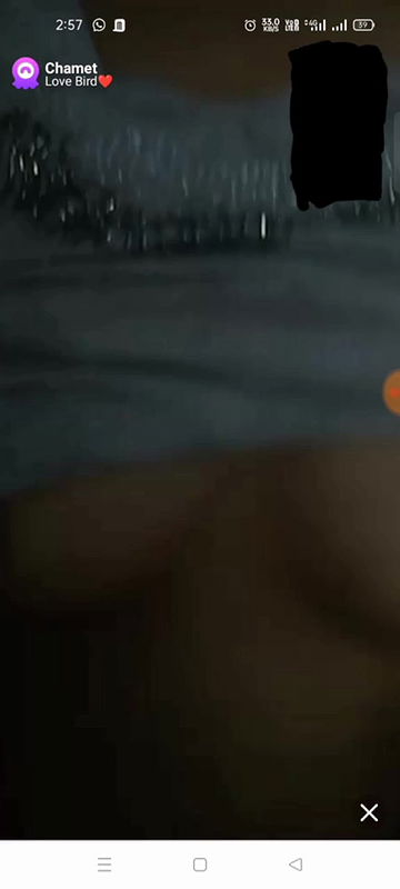 New chamet video collection 2342025-647