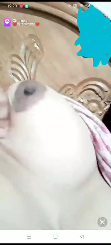 New chamet video collection 2342025-423