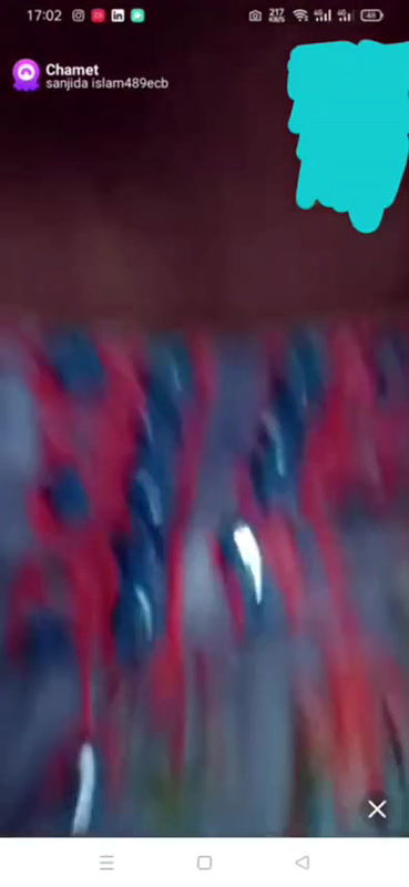 New chamet video collection 2342025-384