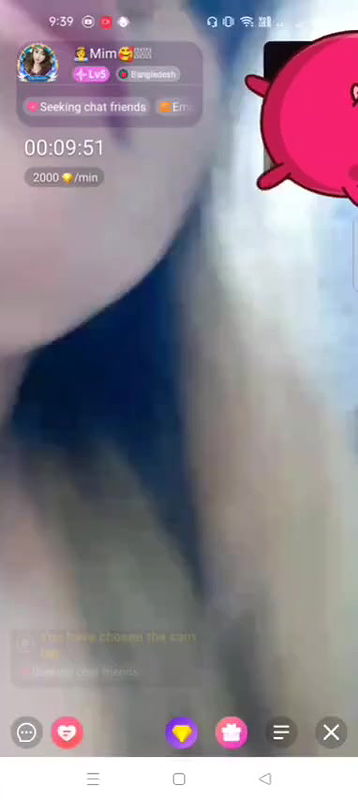 New chamet video collection 2342025-260