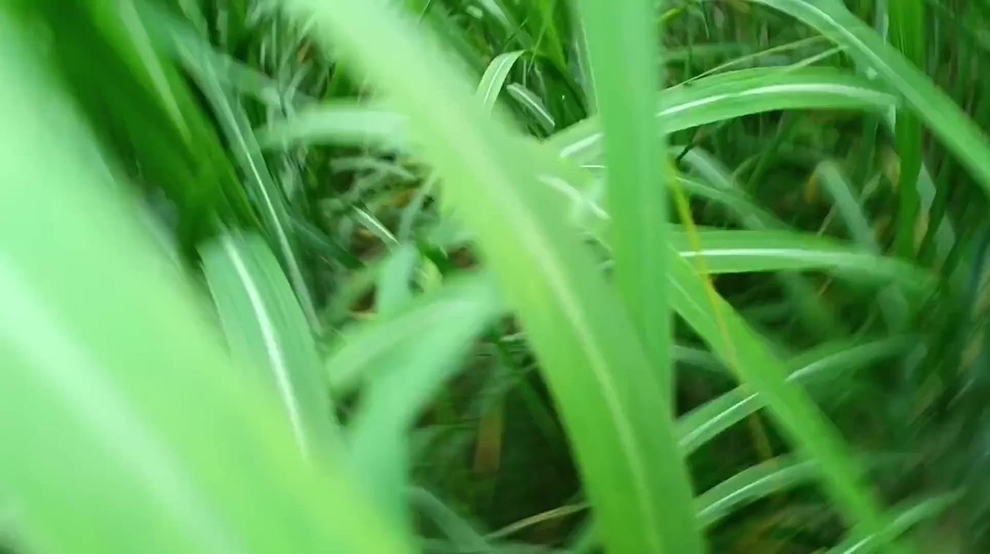 Hot Stepsister Does Not Mind Sharing Her Boyfriend with Her Stepsister