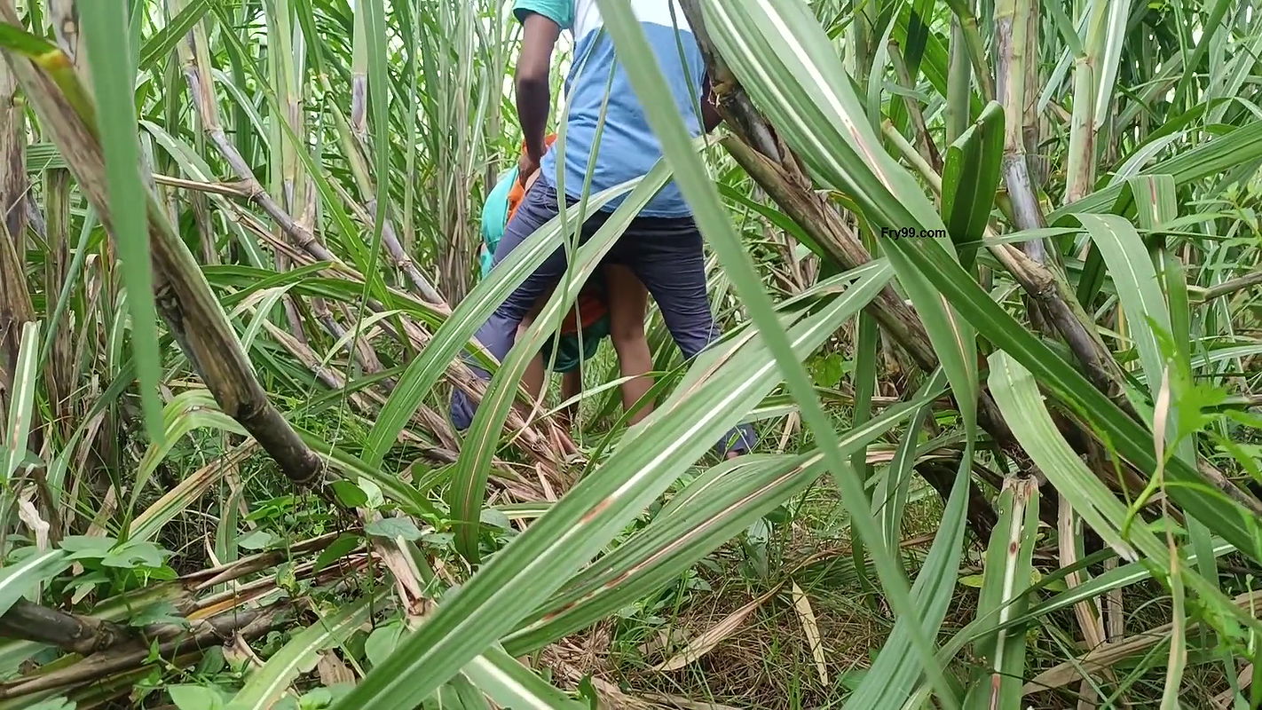 Brother-in-law Took Sister-in-law to the Forest and Fucked Her a Lot