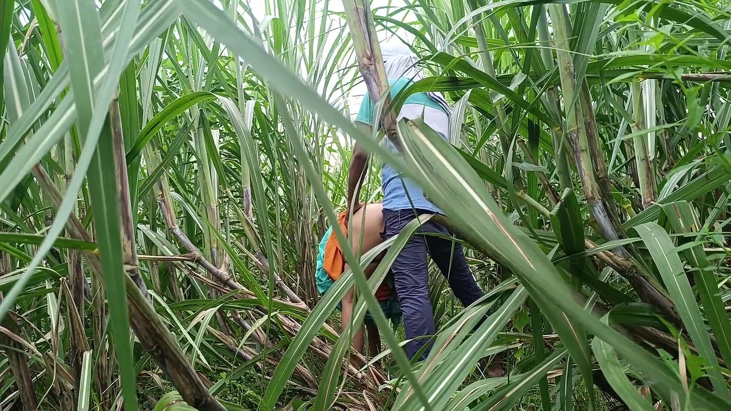 Brother-in-law Took Sister-in-law to the Forest and Fucked Her a Lot