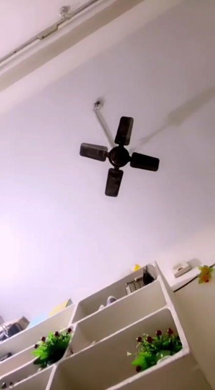 Daily spg STRIPCHAT collection 4242025-4