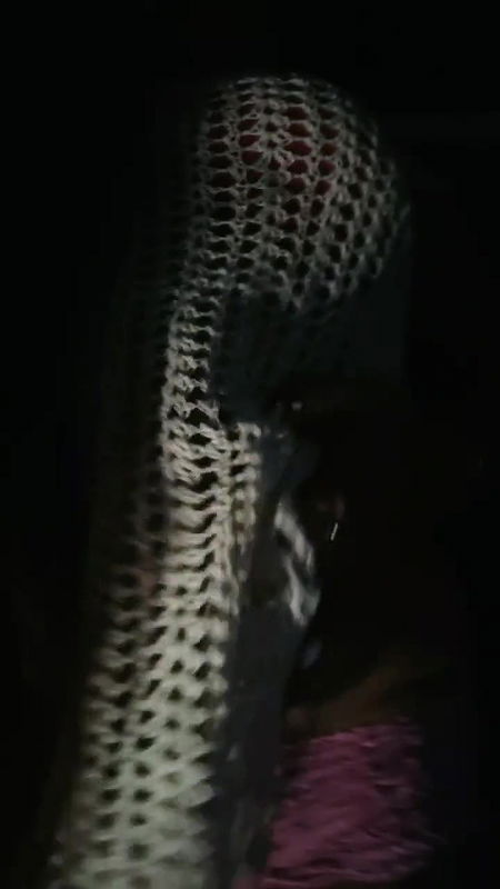 Daily spg STRIPCHAT collection 4242025-20