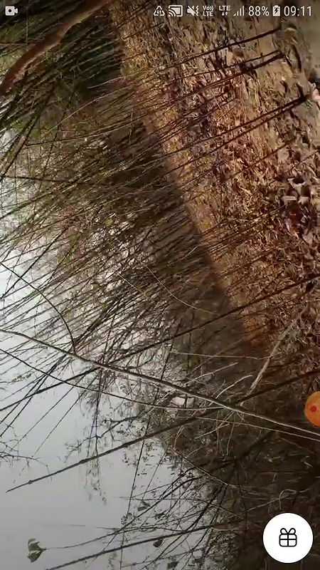 Daily spg STRIPCHAT collection 4242025-25