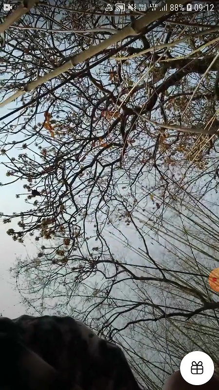 Daily spg STRIPCHAT collection 4242025-25