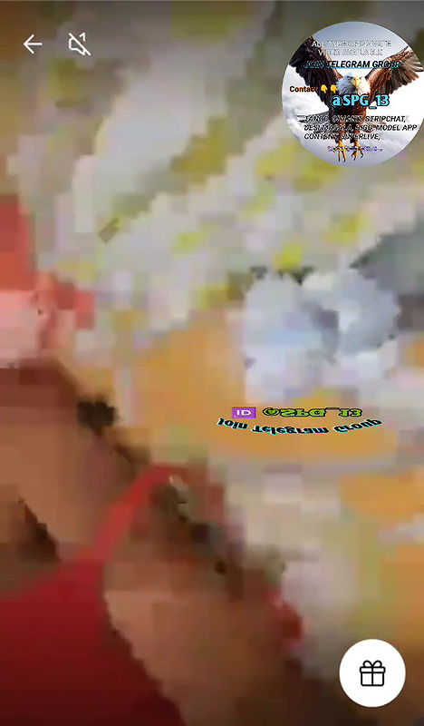 Daily spg STRIPCHAT collection 4242025-31