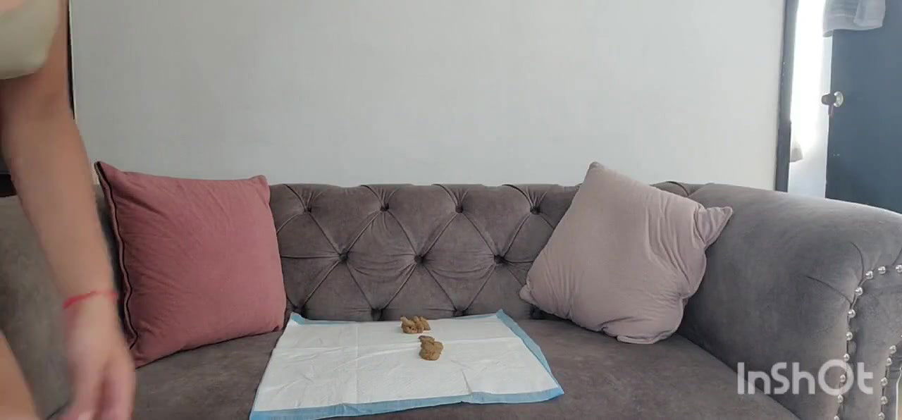 lauracolin – day 1 shitting in the dog diaper