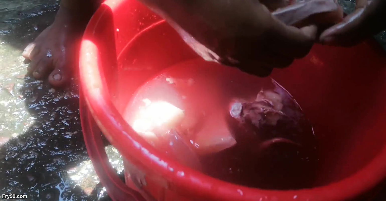 Vabi desi with bf talking sex