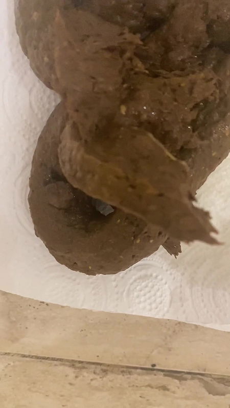 ANOOK84 A LOT OF FOUR LEGS AND I CLEAN MY ASS